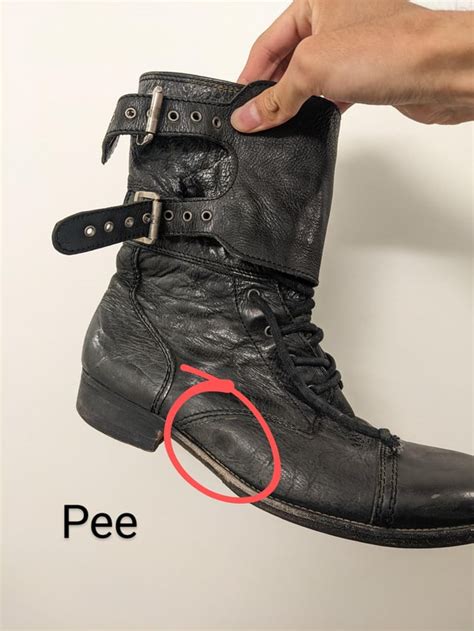 Cat Pee On Boots