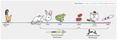 Cat Pee Pregnancy Test