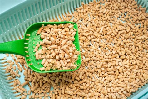 cat pellet
