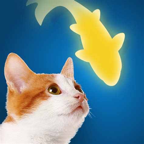 cat playing with fish app