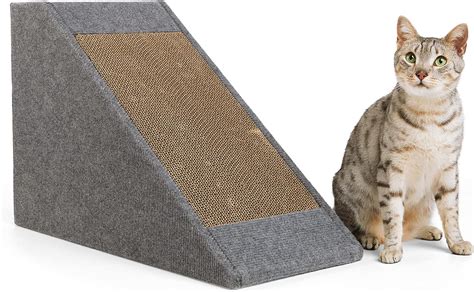 Cat Ramp Amazon