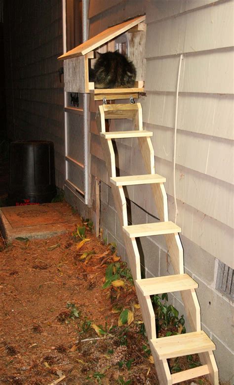 cat ramp for roof