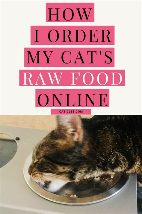 cat raw food delivery