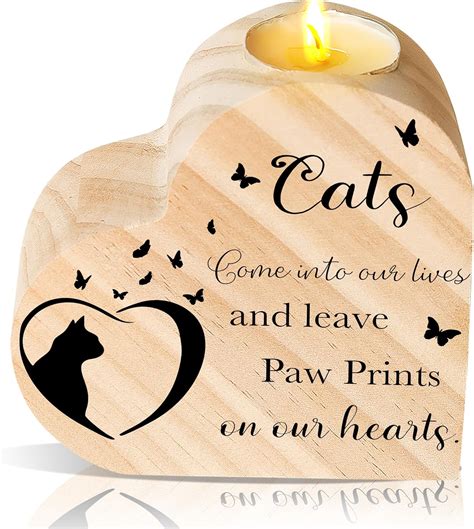 Cat remembrance