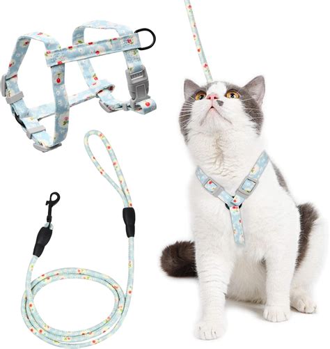 Cat Running Leash