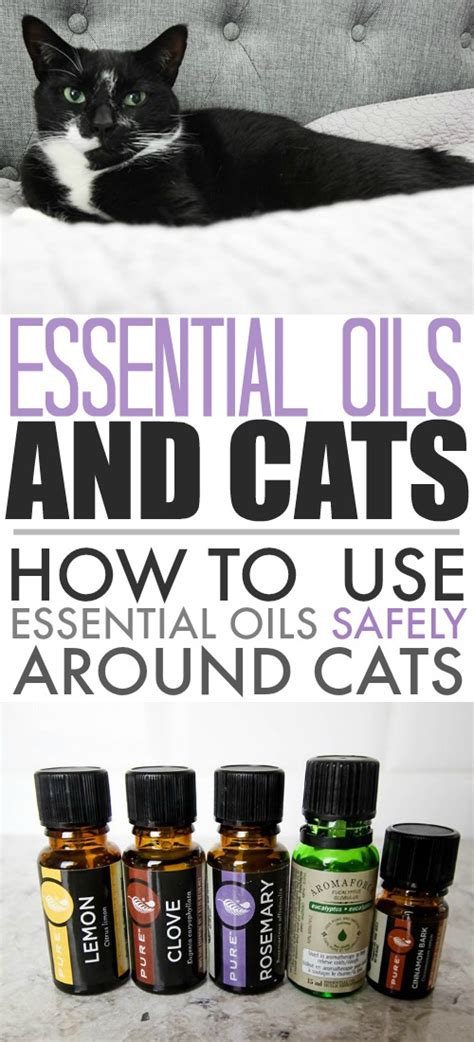 Cat Safe Essential Oils Aspca