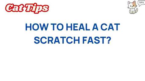 Cat Scratch Healing Process
