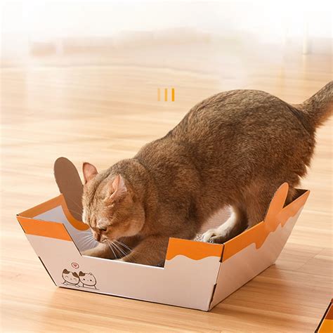 Cat Scratching Cardboard Box