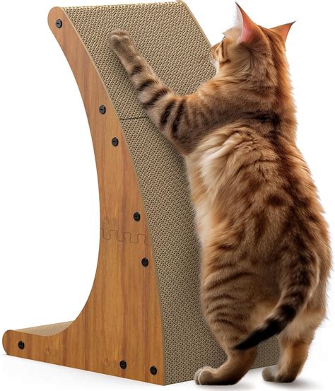 Cat Scratching Items