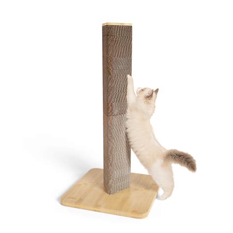 Cat Scratching Post Kmart