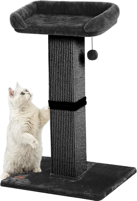 cat scratching post perch