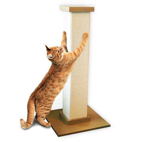 Cat Scratching Post Pics