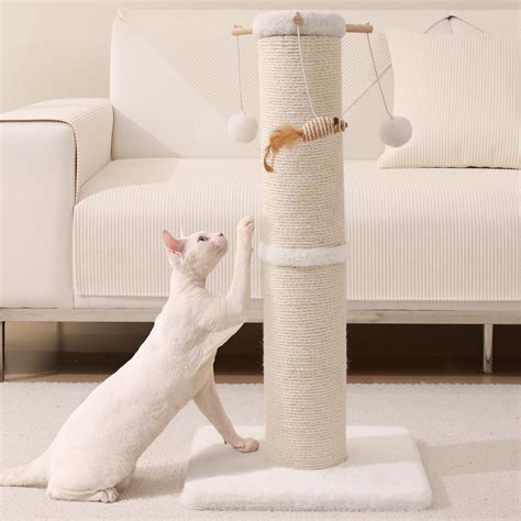 Cat Scratching Posts Amazon