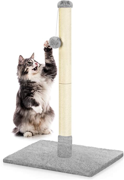 Cat Scratching Posts In Canada