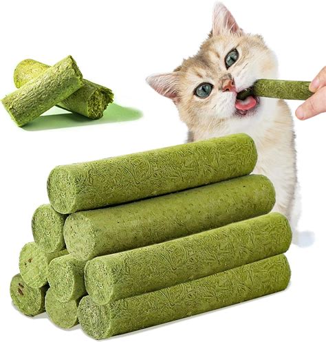 Cat Snacks Amazon