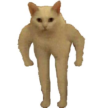 cat standing meme png