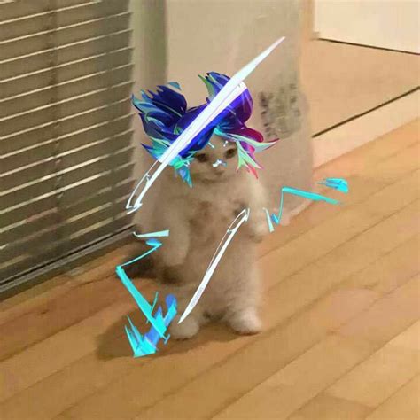 cat standing meme valorant pfp neon