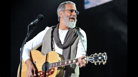 cat stevens concert youtube