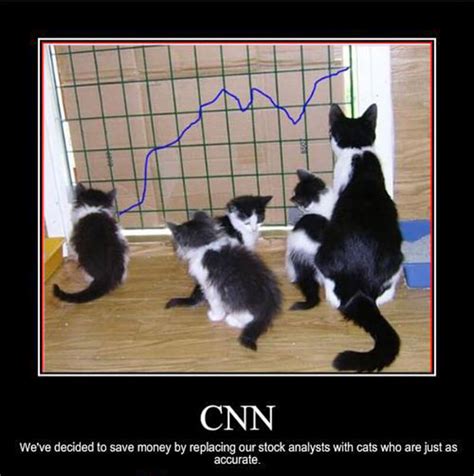 cat stock market quote