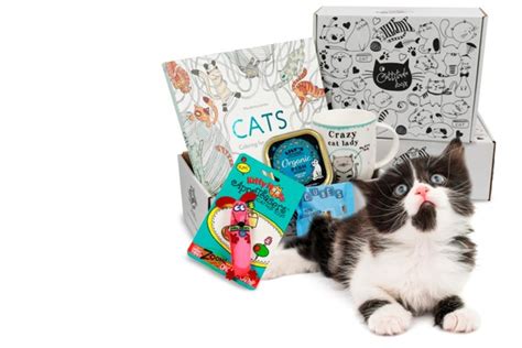Cat Subscription Box Uk