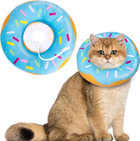 Cat Surgery Donut