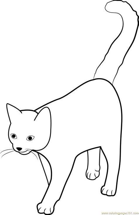 Cat Tail Coloring Pages