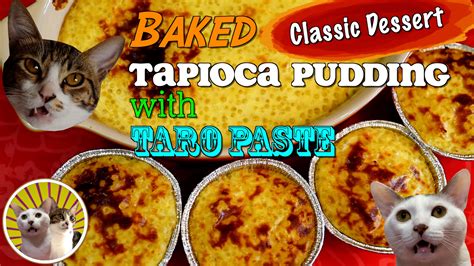 Cat Tapioca Pudding