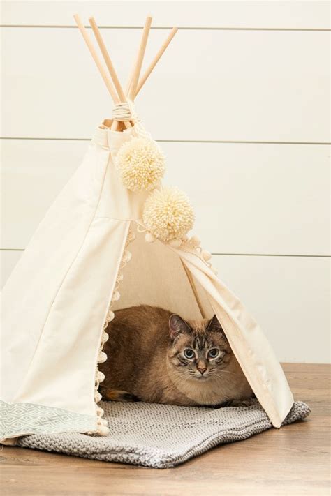 Cat Teepee Bed Diy