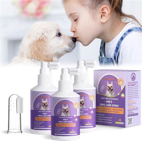 Cat Teeth Cleaning Uk