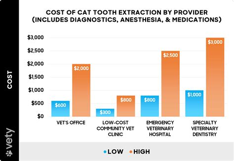 Cat Teeth Extraction Cost
