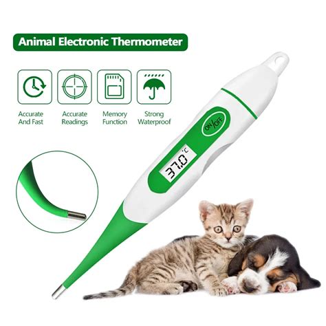 Cat Thermometer Petsmart