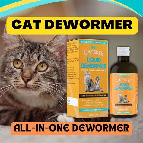 Cat Threw Up Dewormer