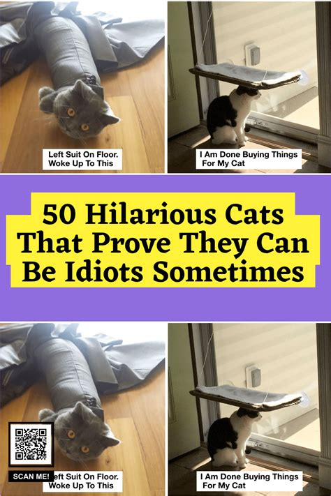 Cat Throwing Head Back Meme