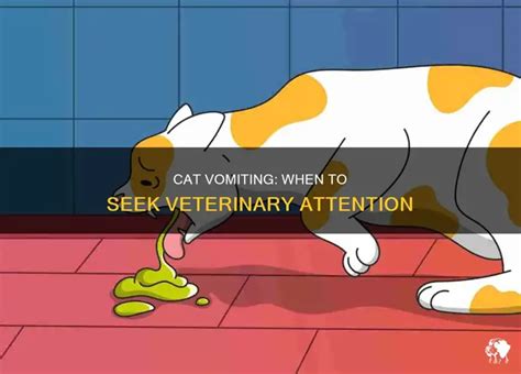 Cat Throwing Up For Attention