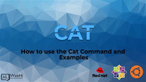 Cat To Command