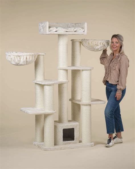 Cat Tower Exhibit Seattle