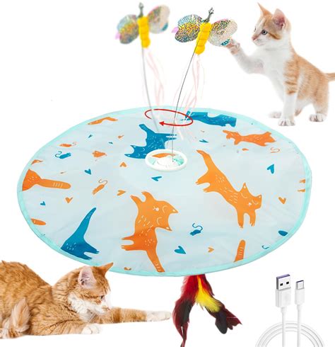 Cat Toys For Chasing