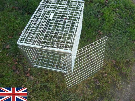 Cat Trap Cage Uk