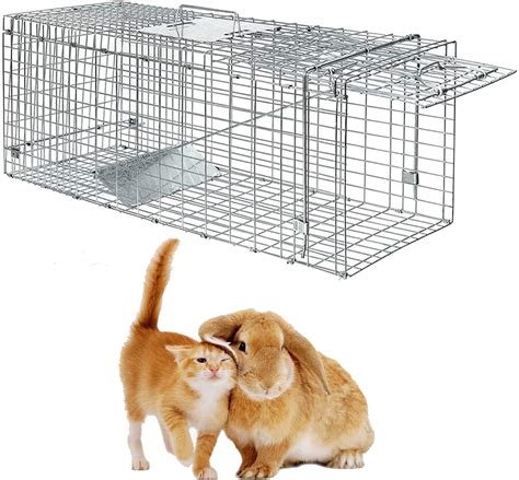 Cat traps used for humane capture