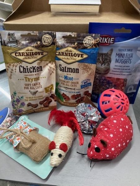 Cat Treat Box Subscription