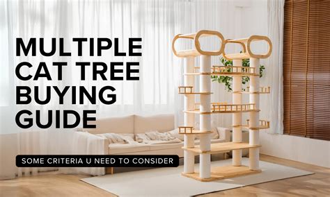 Cat Tree Buying Guide