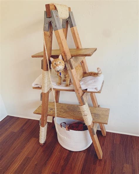 Cat Tree Ladder Diy
