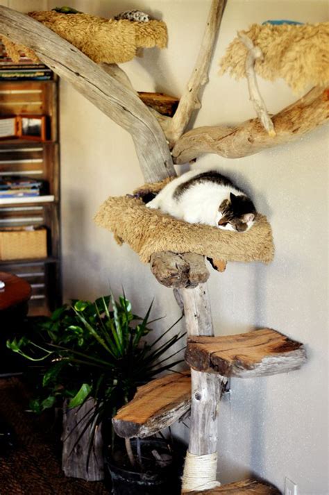 Cat Tree Made With Real Branches