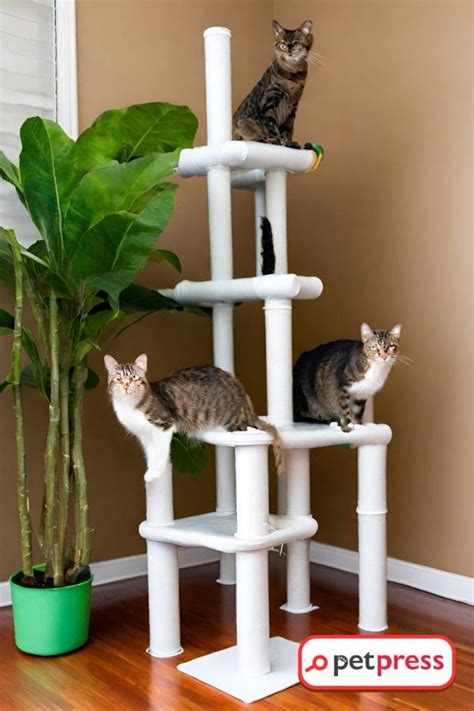 Cat Tree Out Of Pvc Pipe