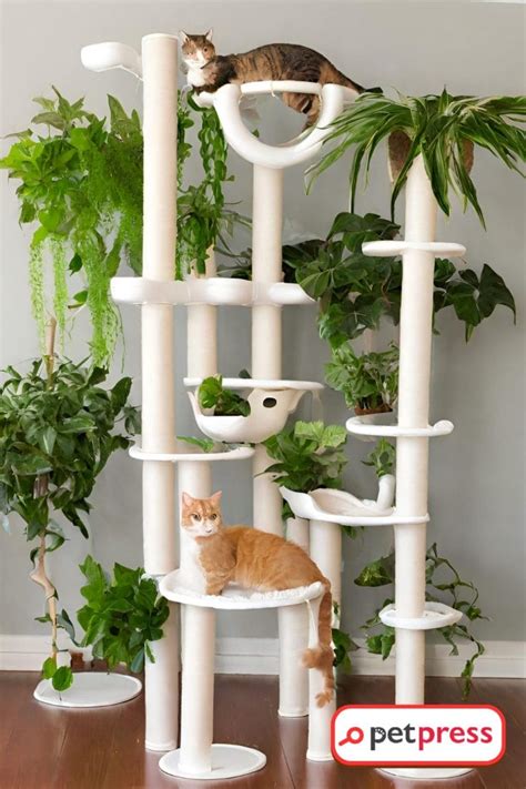 Cat Tree String