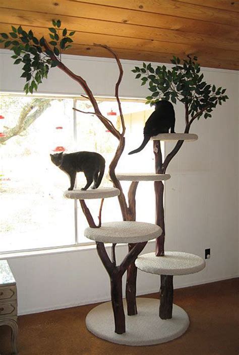 Cat Tree With Branches