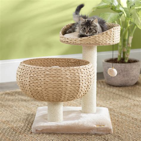 Cat Trees Pretty