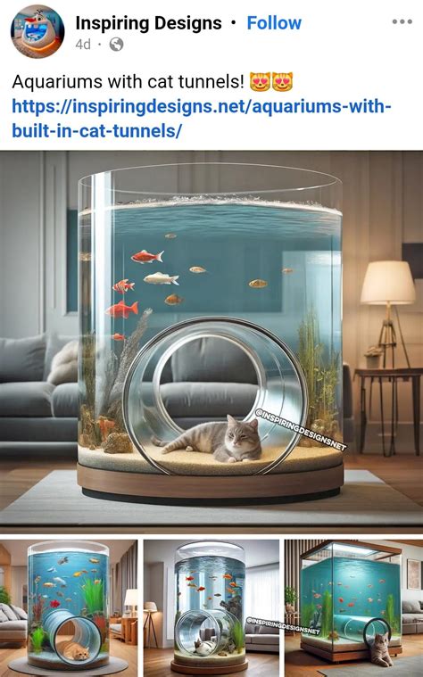 Cat Tunnel Reddit