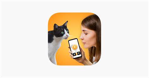 Cat using app