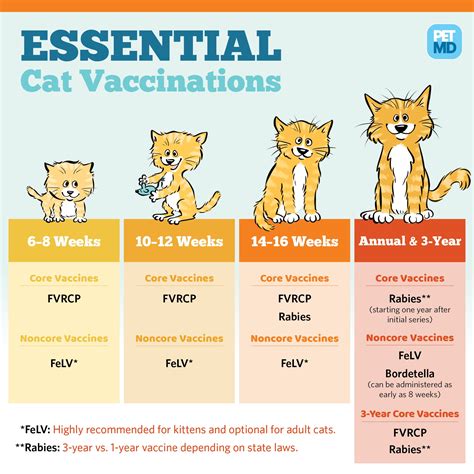 cat vaccinations schedule